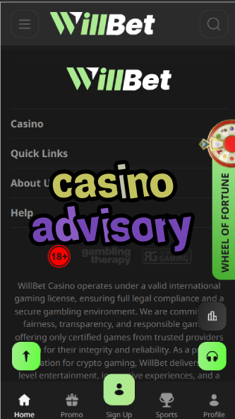 Casino Advisory - Professional Gambling Advice-casinobgaming.casinoorder.vip